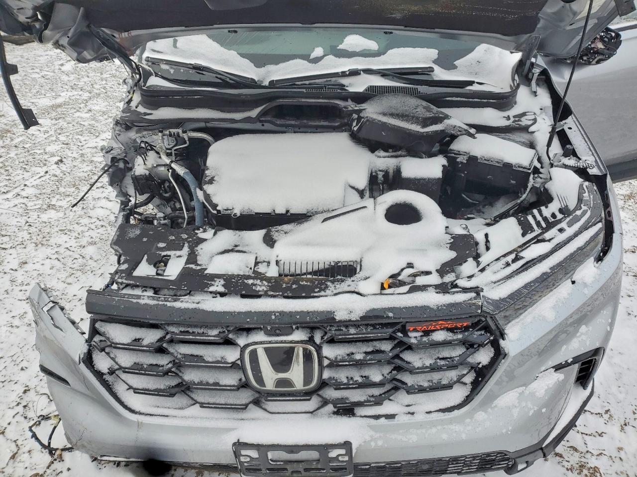2025 HONDA PILOT TRAILSPORT photo 12