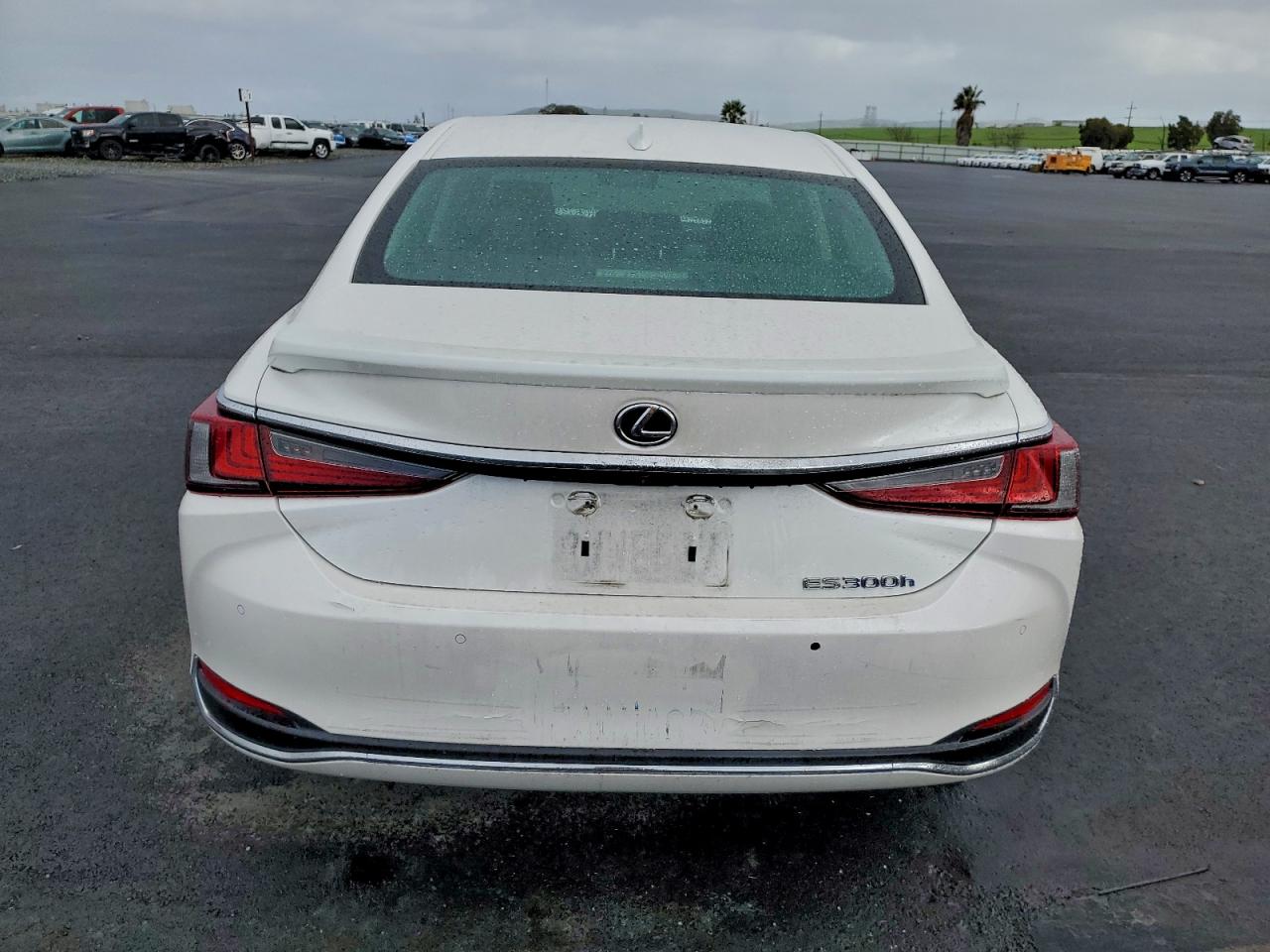 2021 LEXUS ES 300H photo 6
