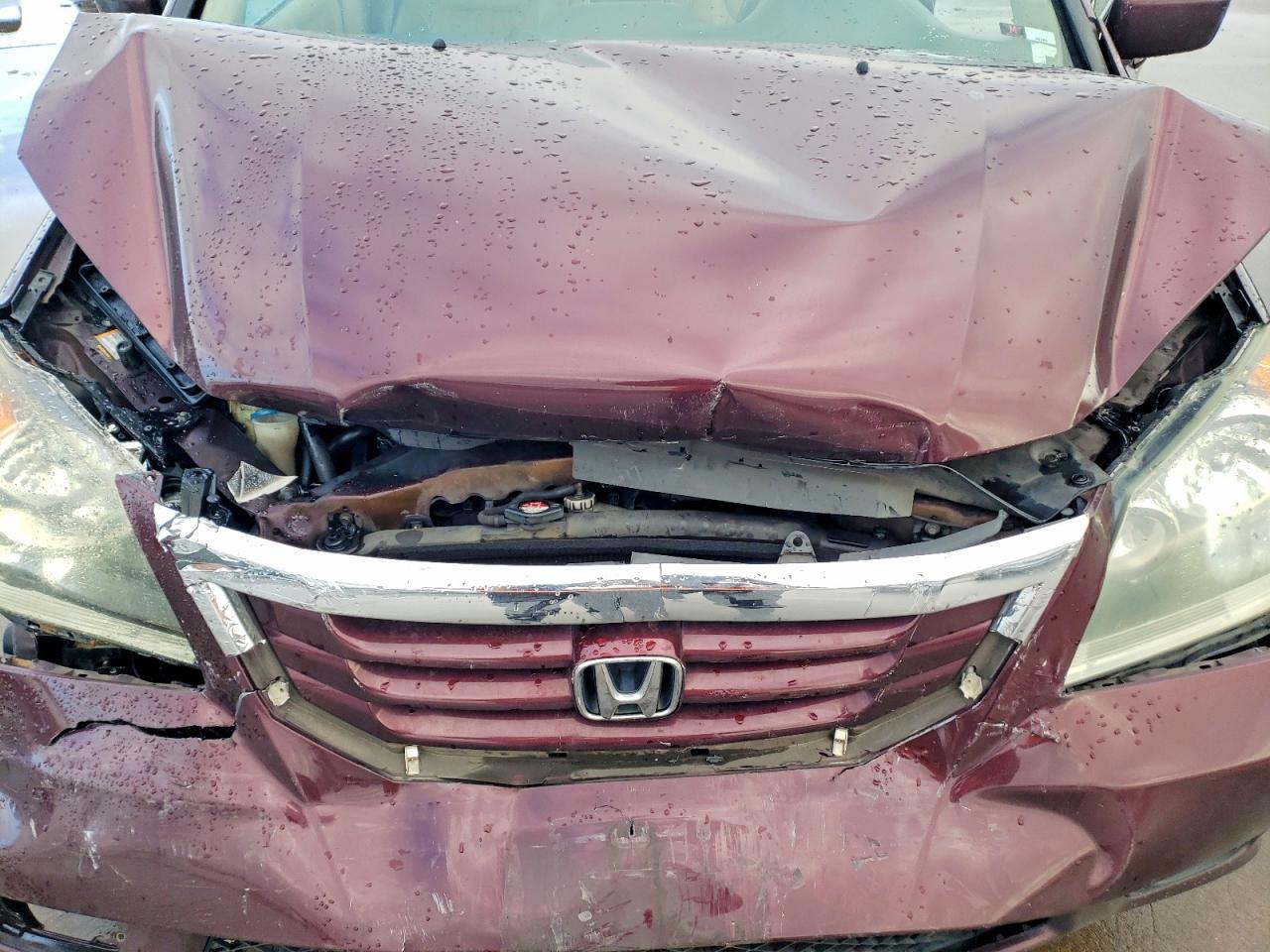 2008 HONDA ODYSSEY EXL photo 11