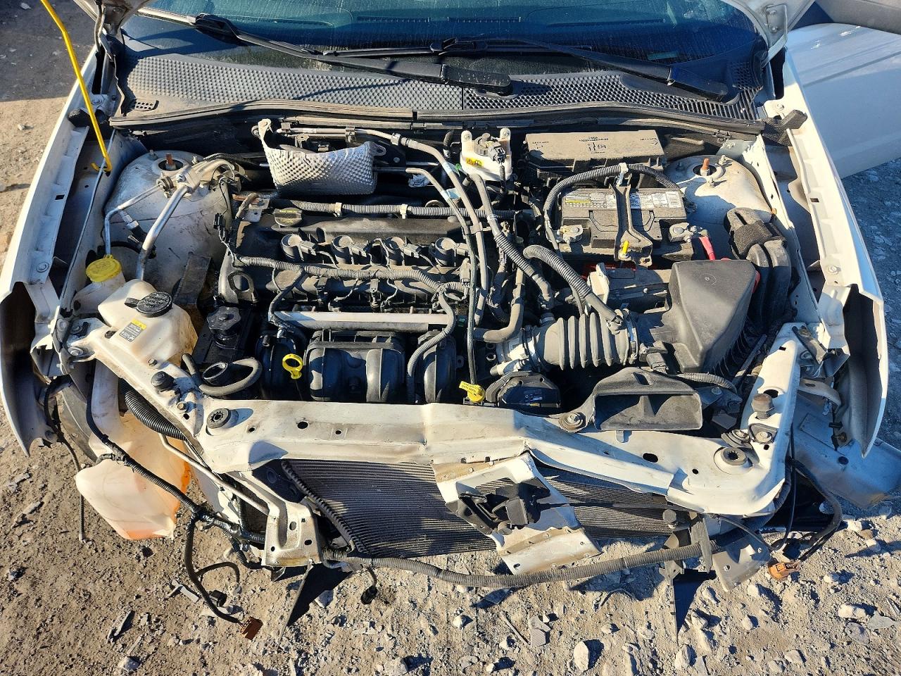 2009 FORD FOCUS SE photo 11