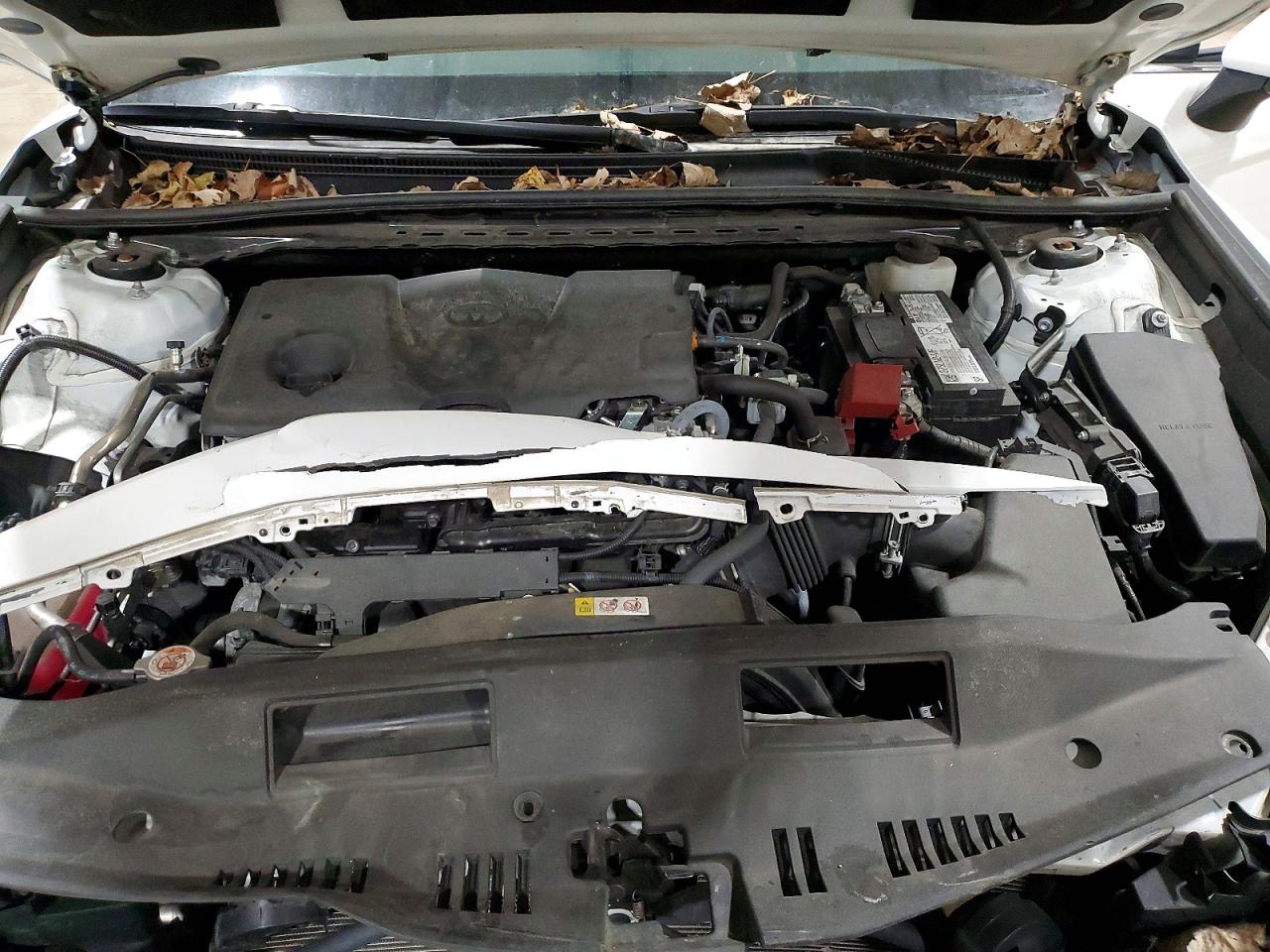 2024 TOYOTA CAMRY LE photo 11