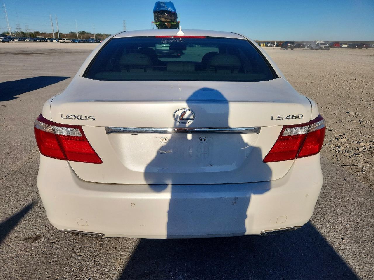 2009 LEXUS LS 460 photo 6