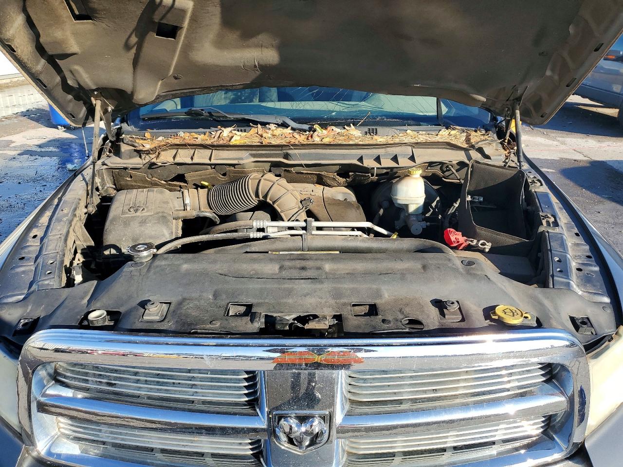 2010 DODGE RAM 1500 photo 11