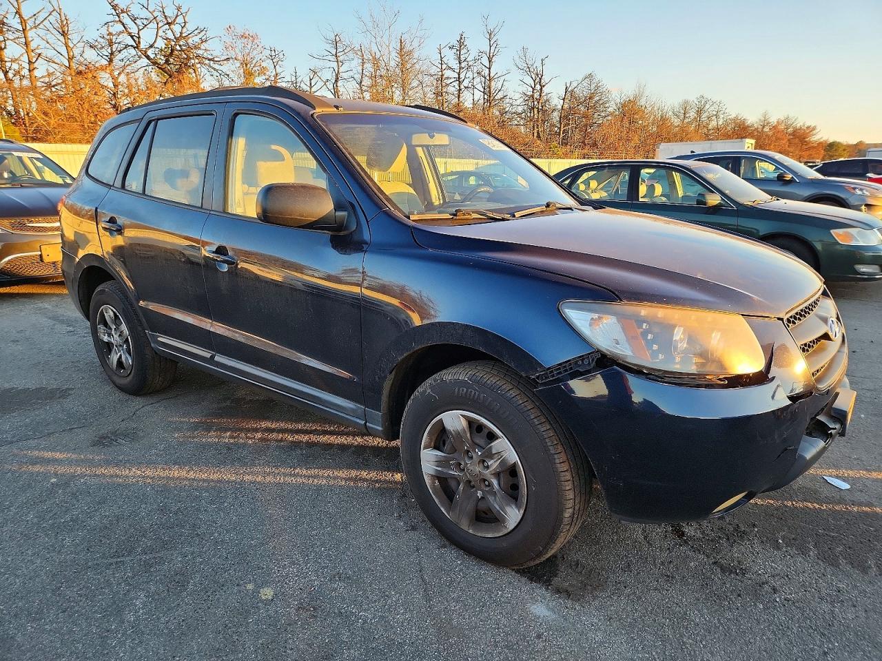2009 HYUNDAI SANTA FE photo 7