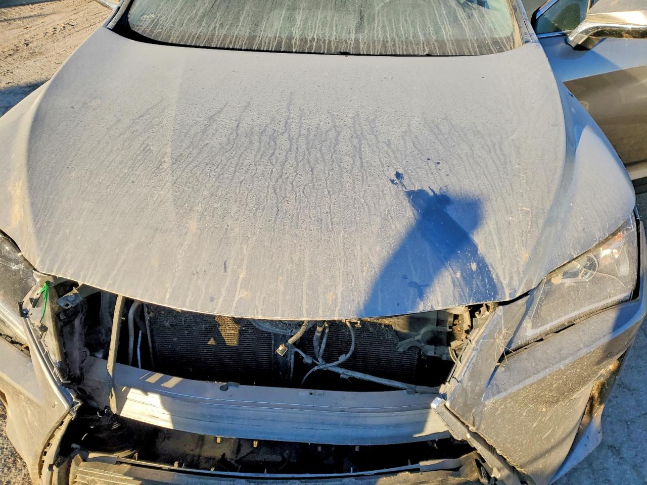 2017 LEXUS RX 350 BASE photo 11