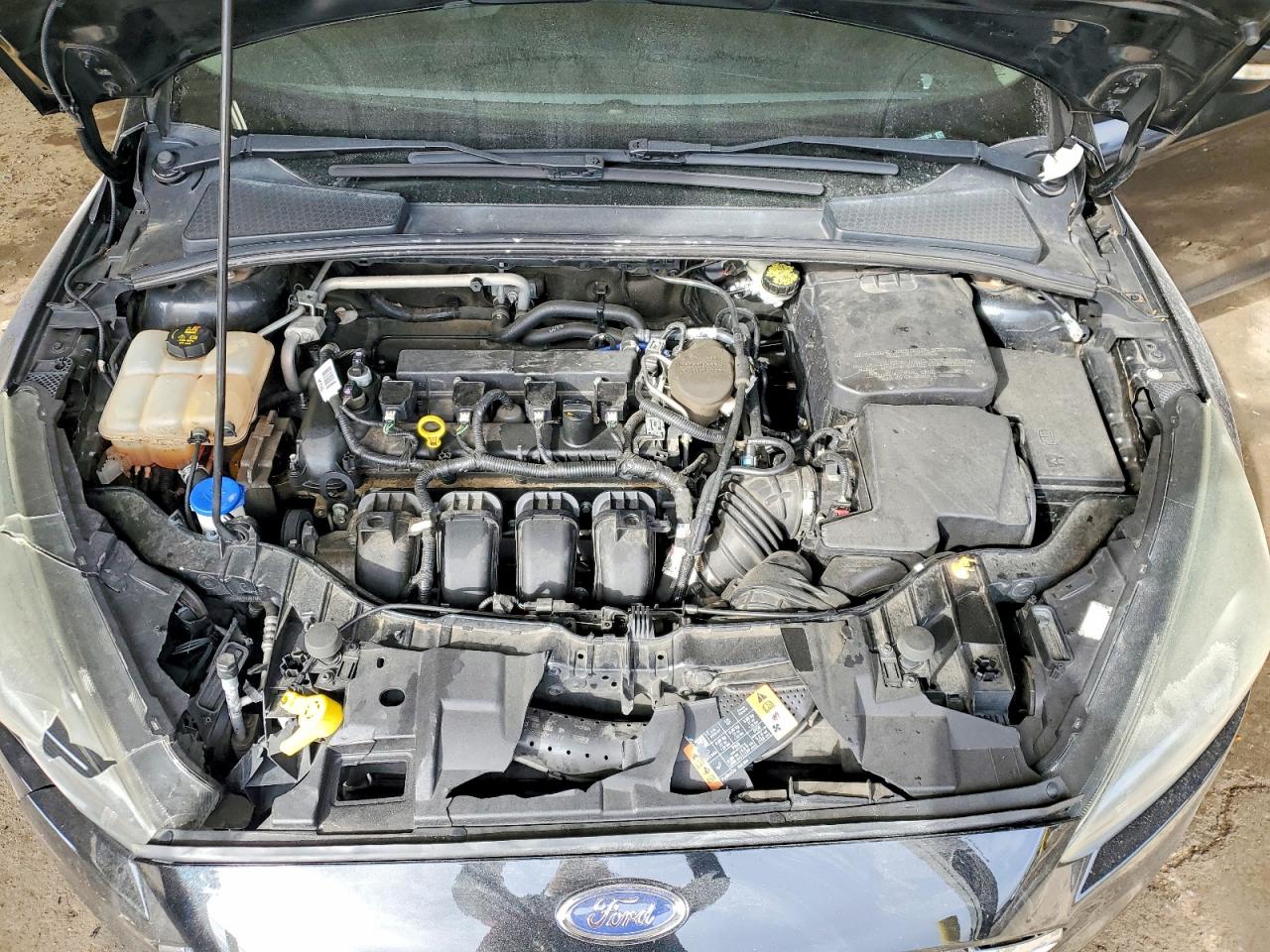2015 FORD FOCUS SE photo 23