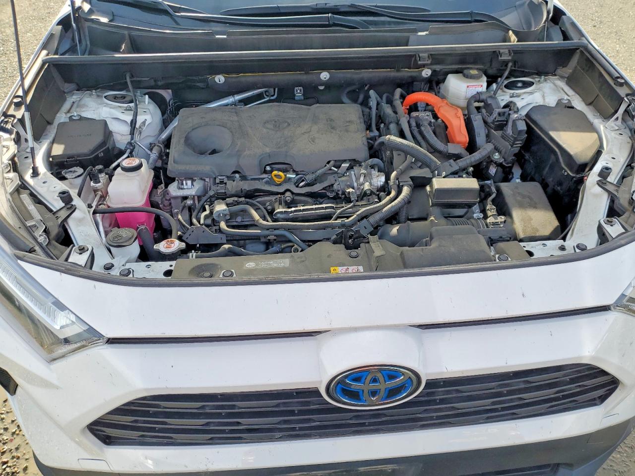 2024 TOYOTA RAV4 XLE photo 12
