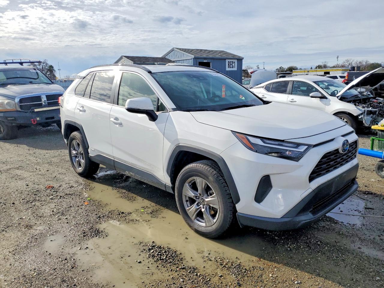 2024 TOYOTA RAV4 XLE photo 4