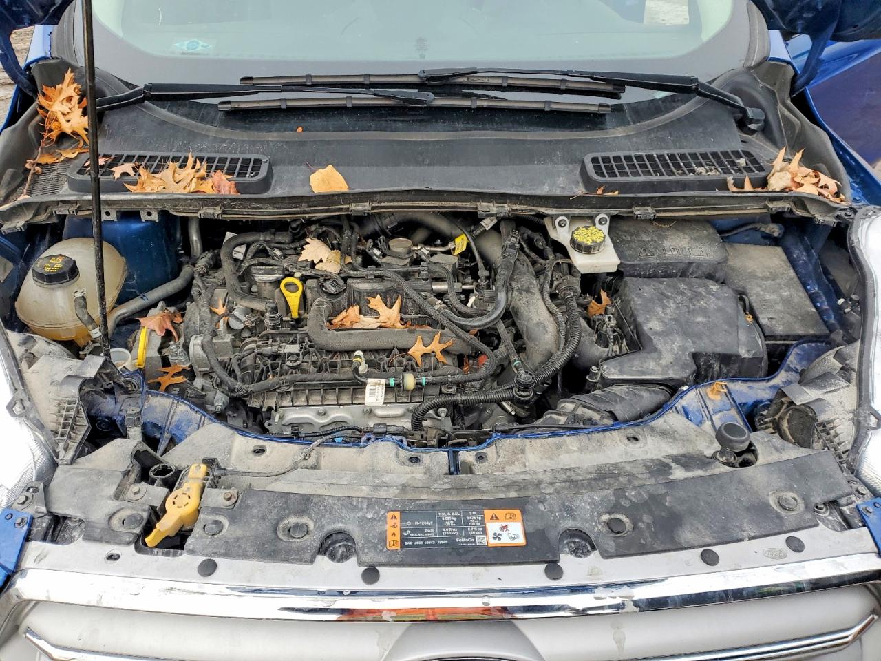 2019 FORD ESCAPE SE photo 12