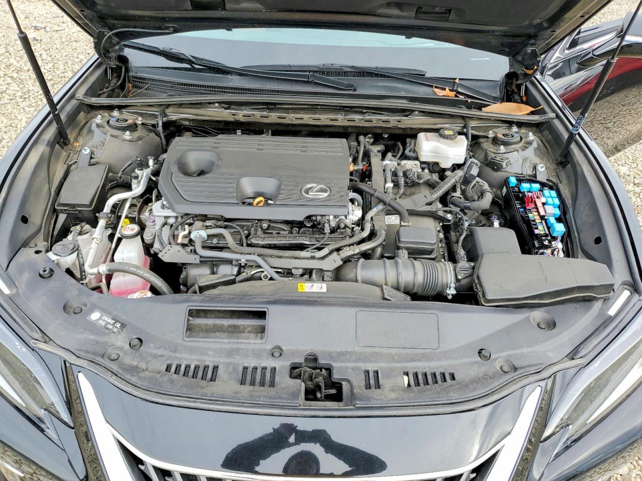 2024 LEXUS ES 300H BASE photo 11