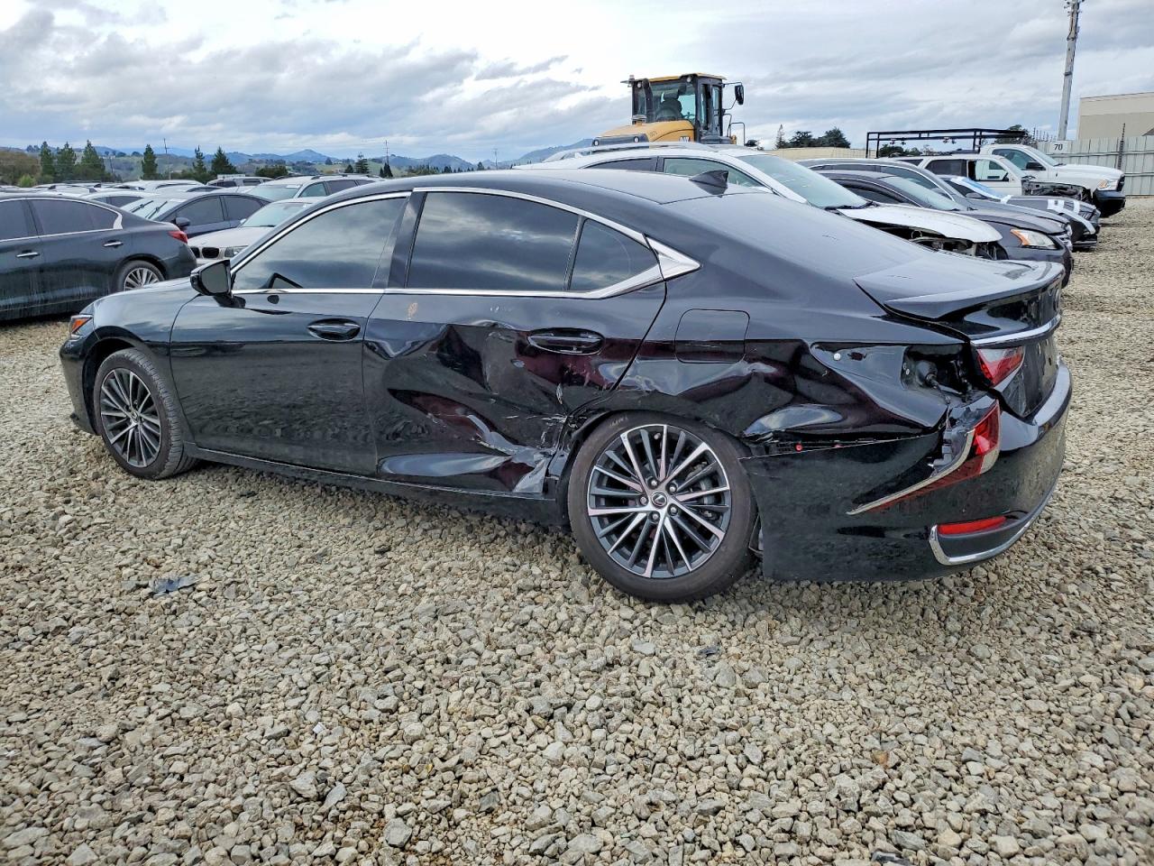 2024 LEXUS ES 300H BASE photo 2