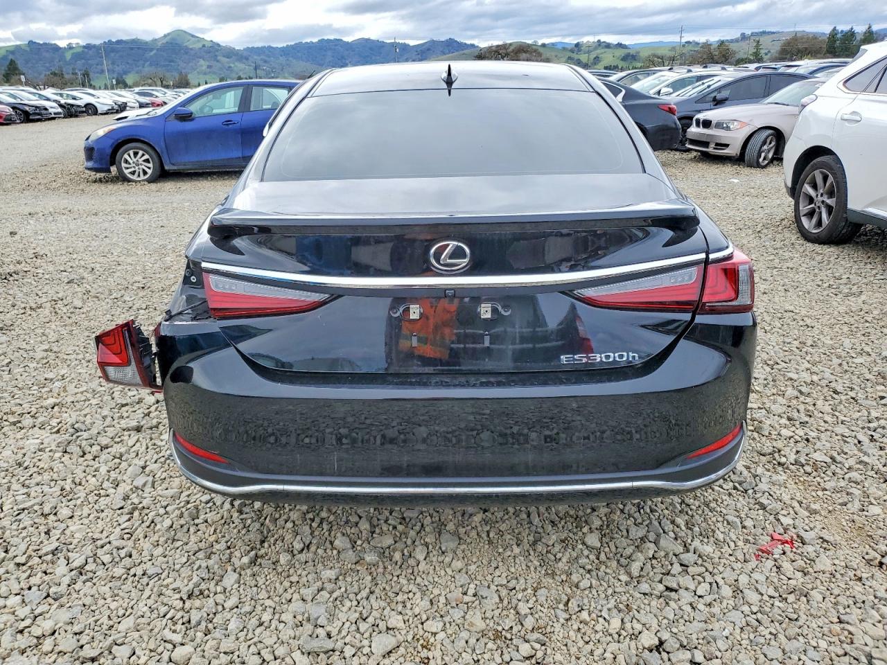 2024 LEXUS ES 300H BASE photo 6