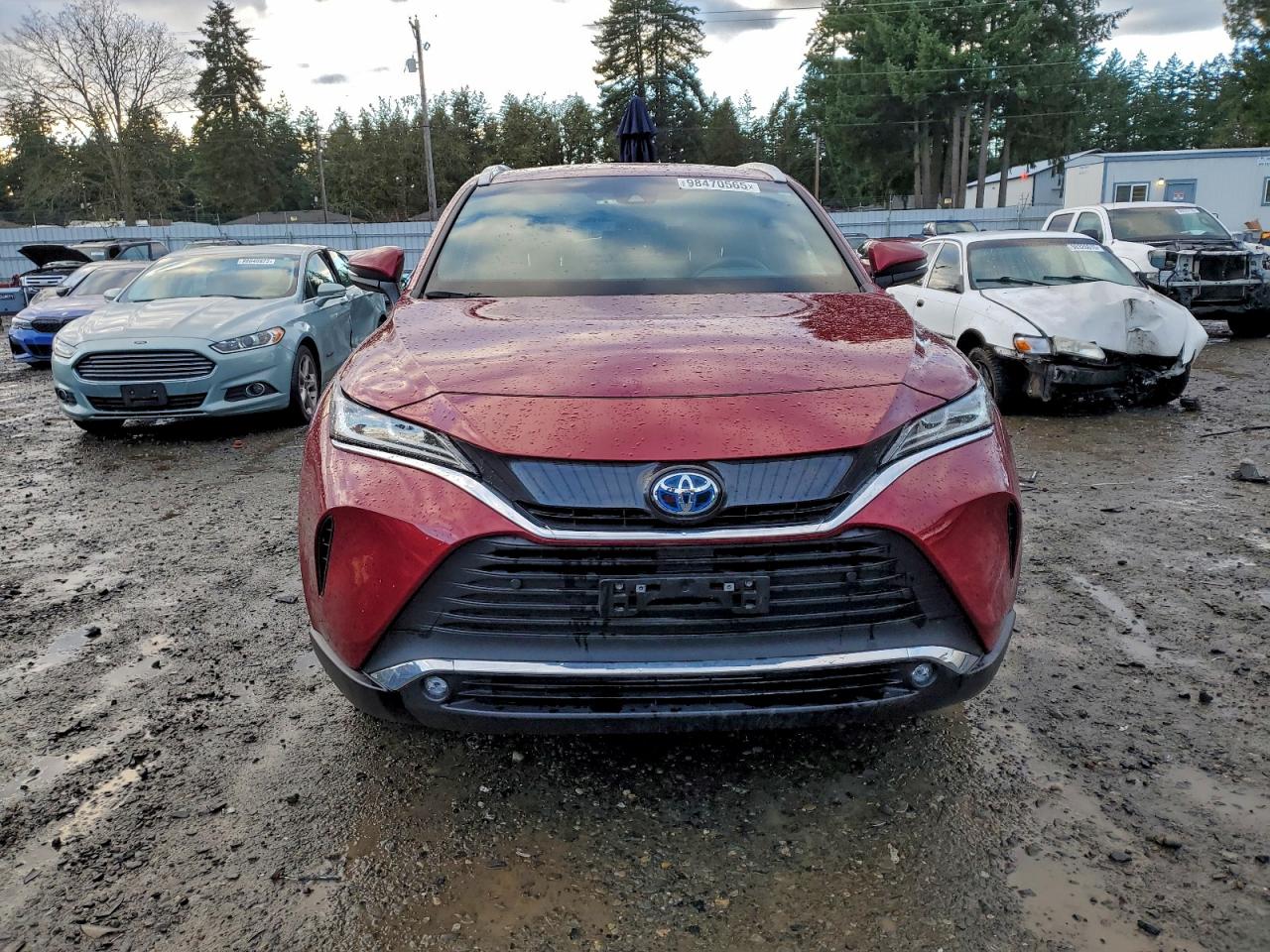 2023 TOYOTA VENZA LE photo 5