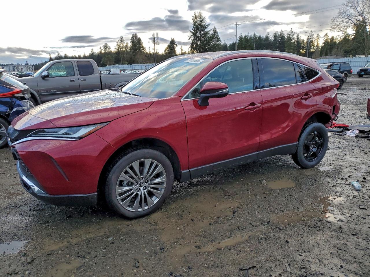 2023 TOYOTA VENZA
