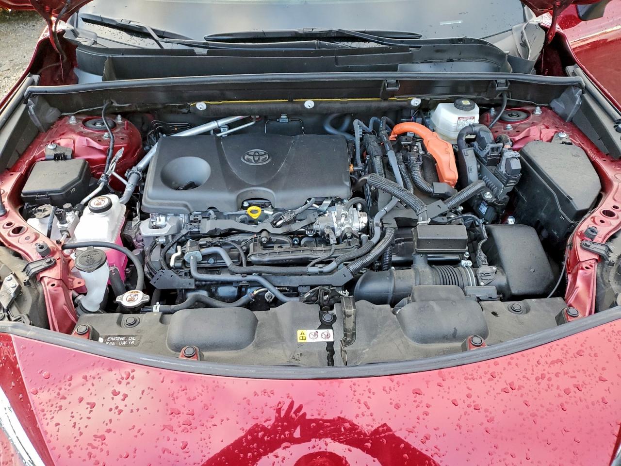 2023 TOYOTA VENZA LE photo 12