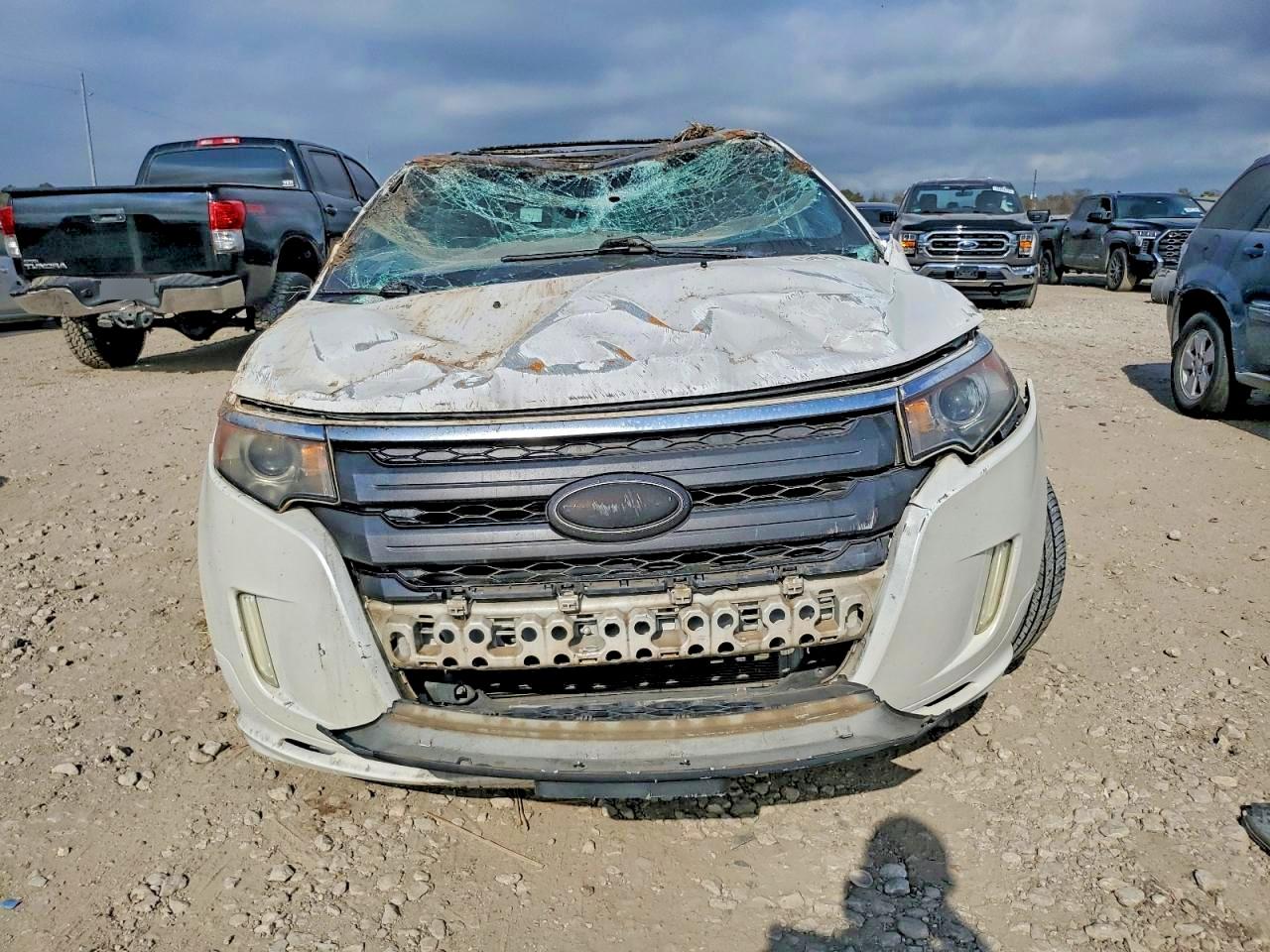 2013 FORD EDGE SPORT photo 5