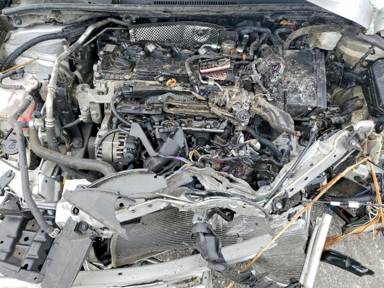 2024 TOYOTA COROLLA LE photo 31