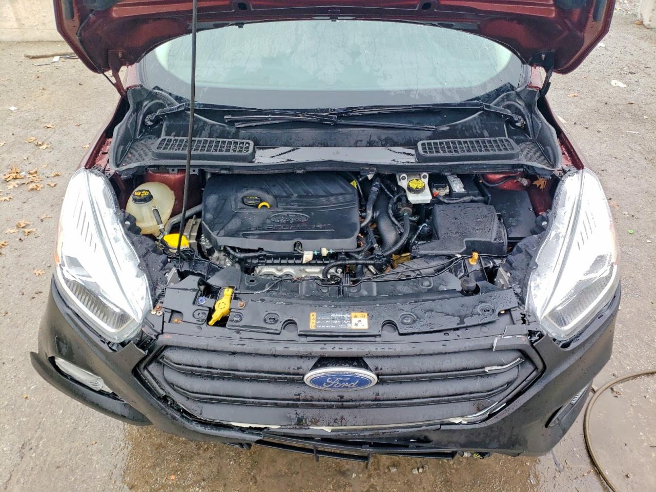 2018 FORD ESCAPE SE photo 12