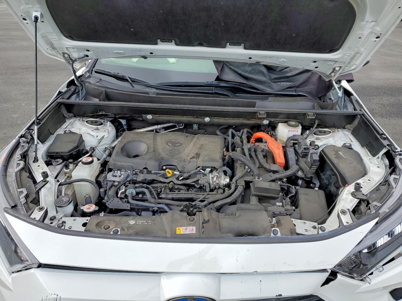 2022 TOYOTA RAV4 LE photo 12