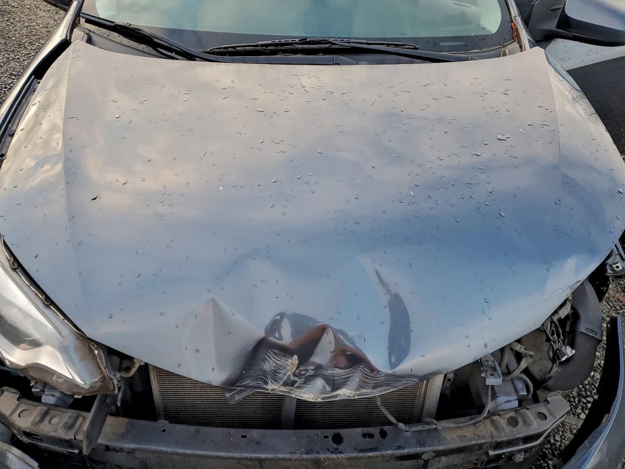 2014 TOYOTA COROLLA ECO photo 11