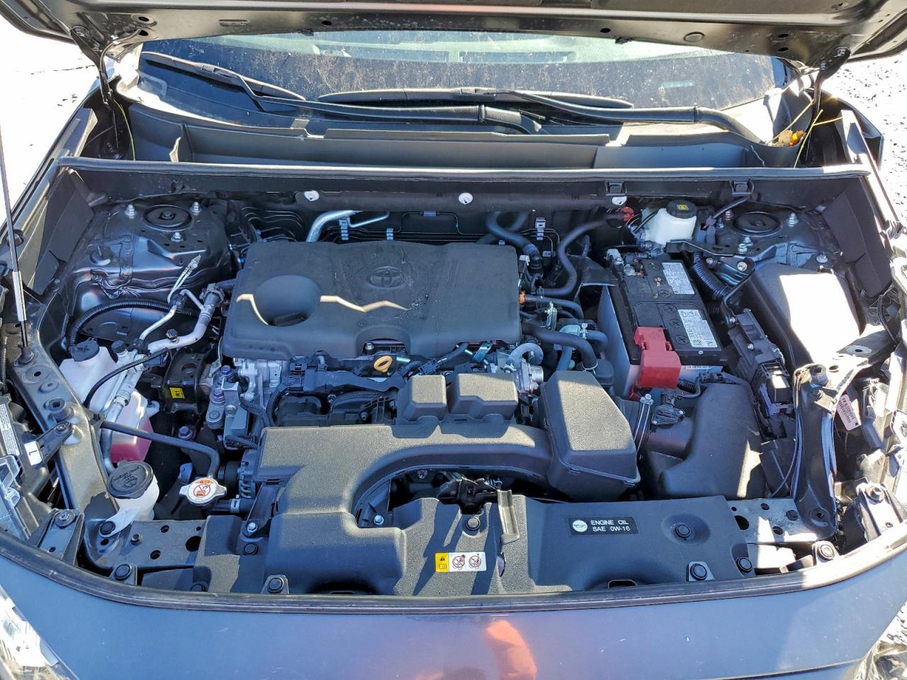 2024 TOYOTA RAV4 LE photo 12