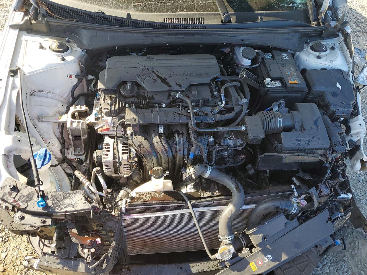 2024 HYUNDAI ELANTRA SEL photo 11