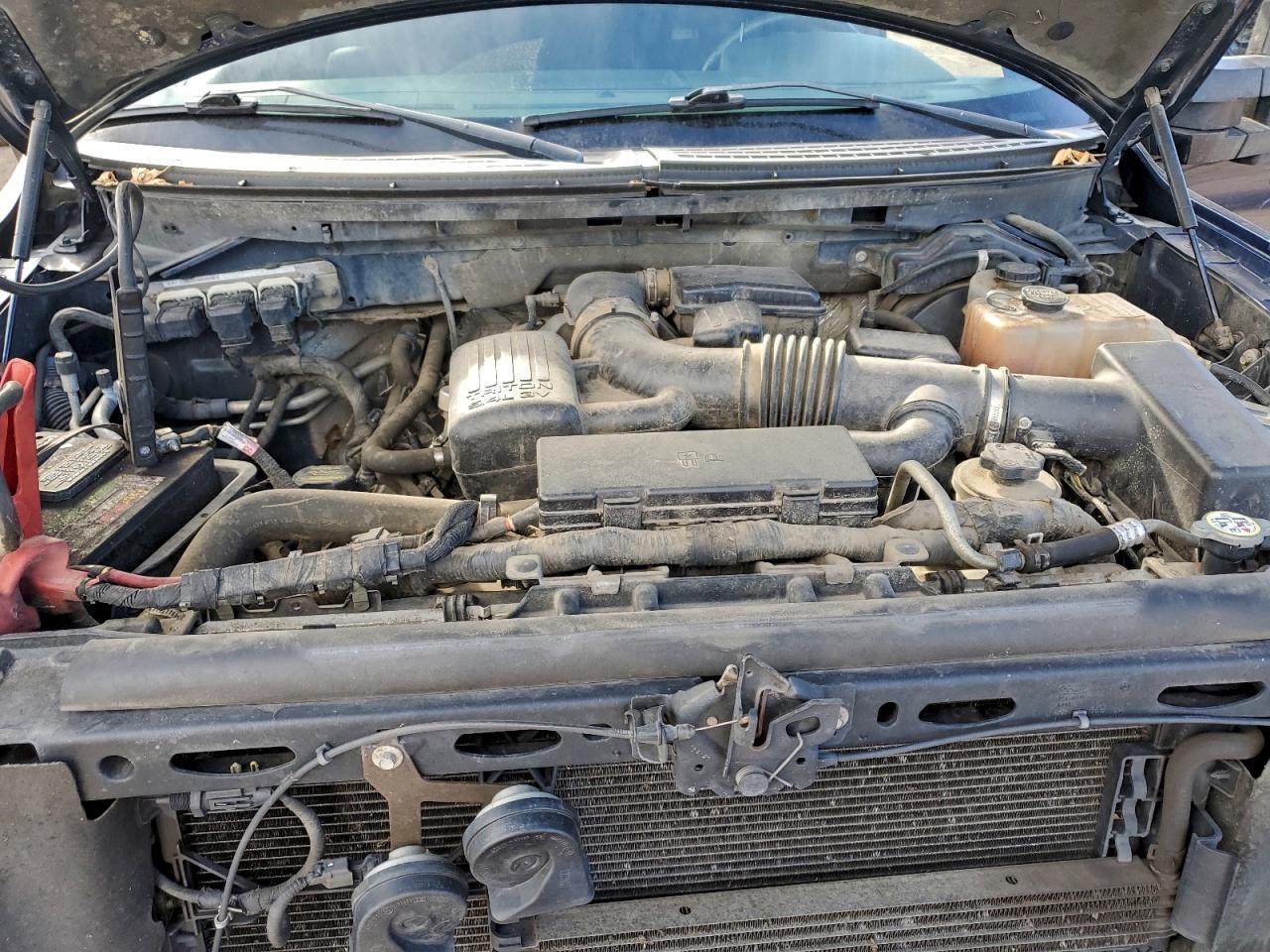 2010 FORD F150 SUPERCREW photo 11