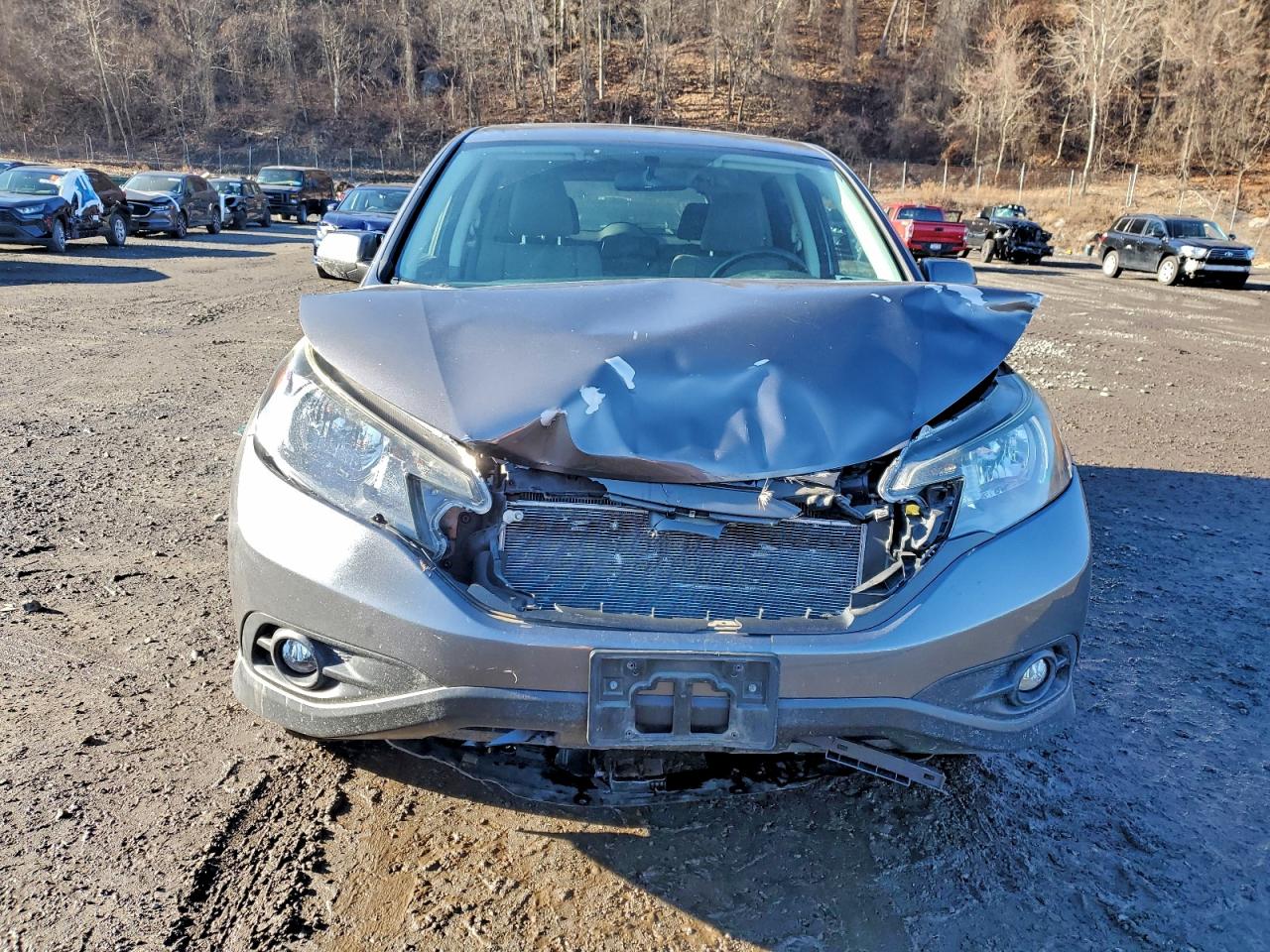 2014 HONDA CR-V EX photo 9