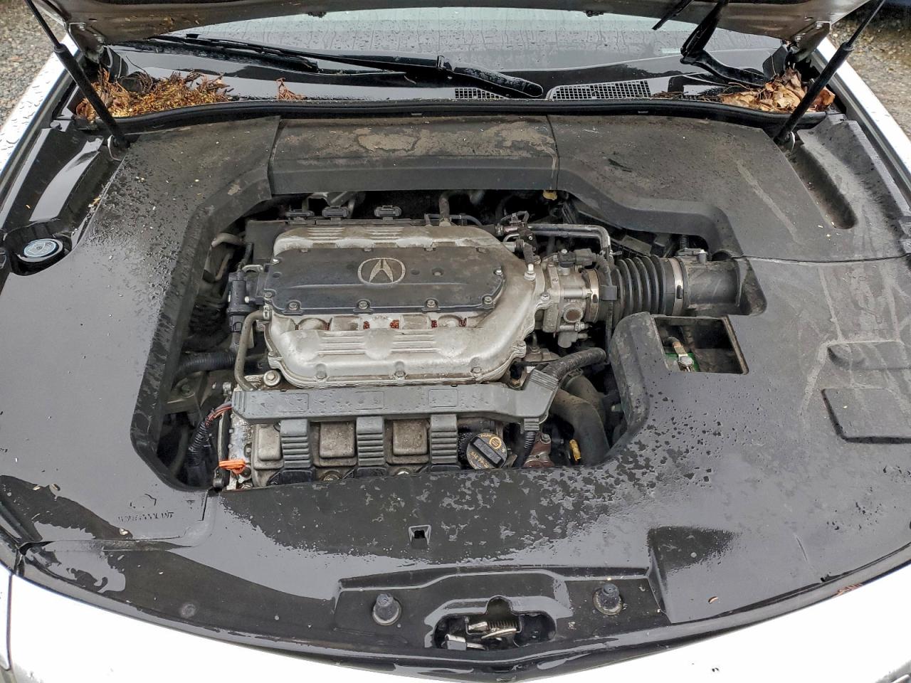 2013 ACURA TL ADVANCE photo 11