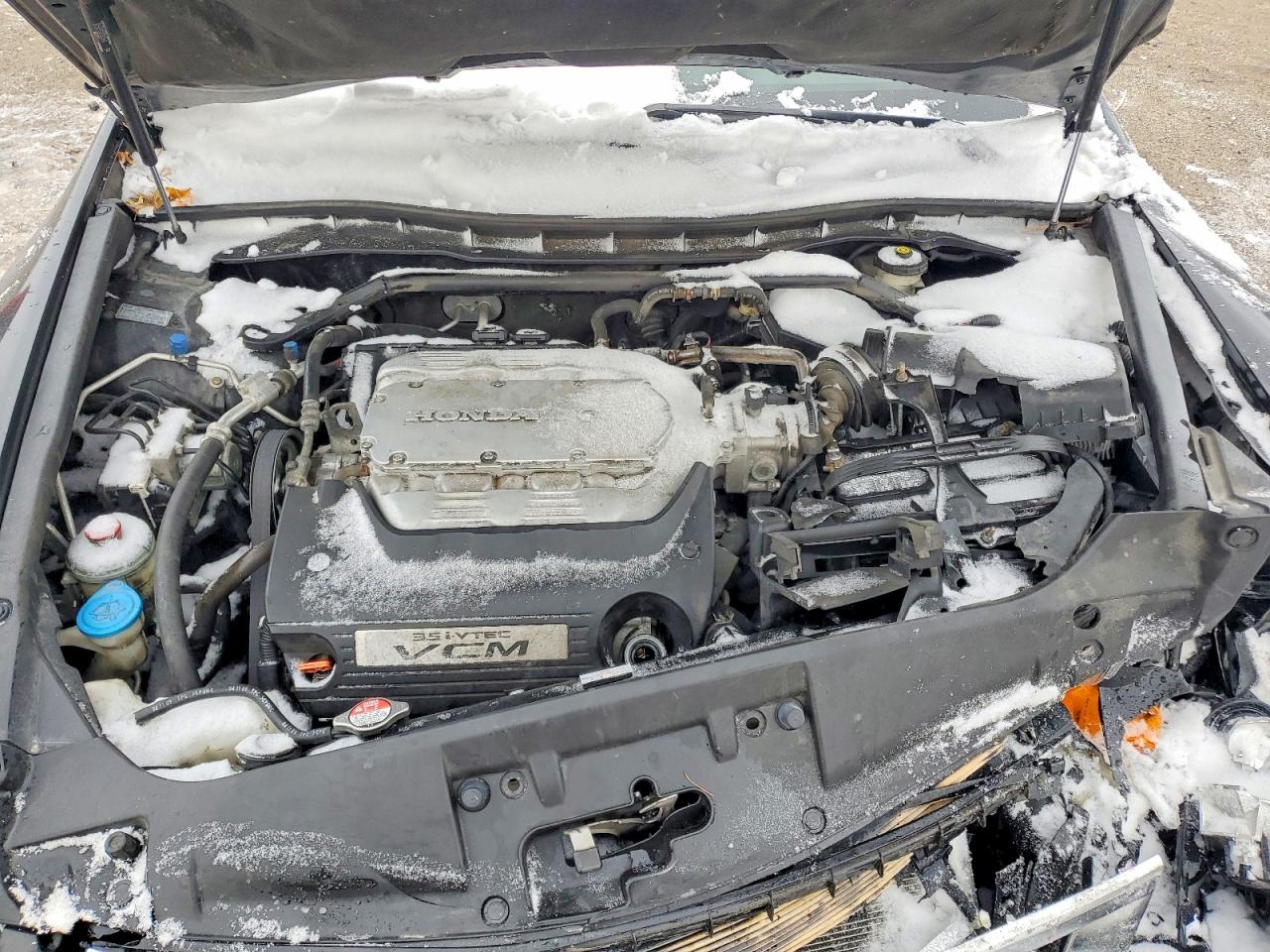 2010 HONDA ACCORD EXL photo 11