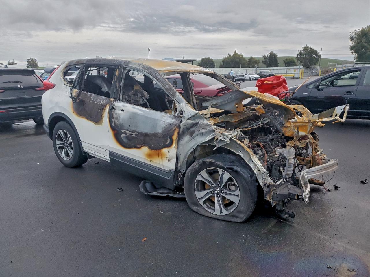 2019 HONDA CR-V LX photo 4