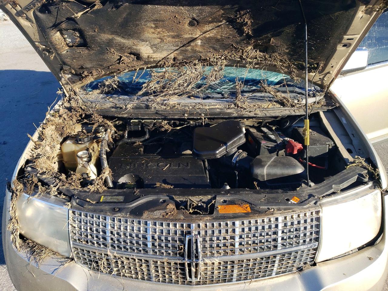 2010 LINCOLN MKX photo 12