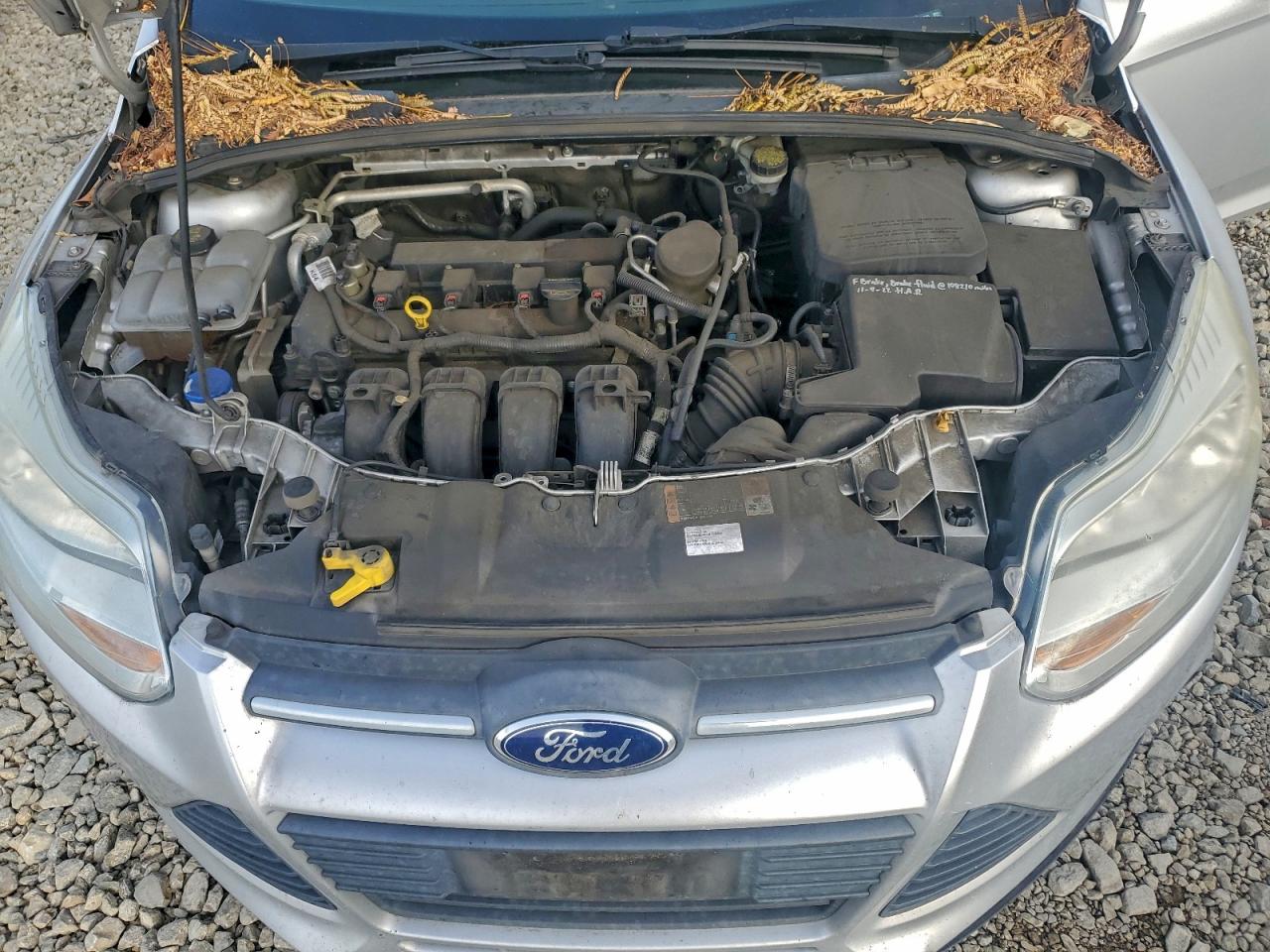 2014 FORD FOCUS SE photo 11