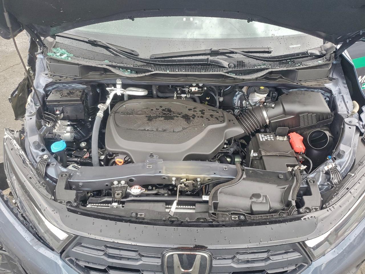 2025 HONDA ODYSSEY EXL photo 12
