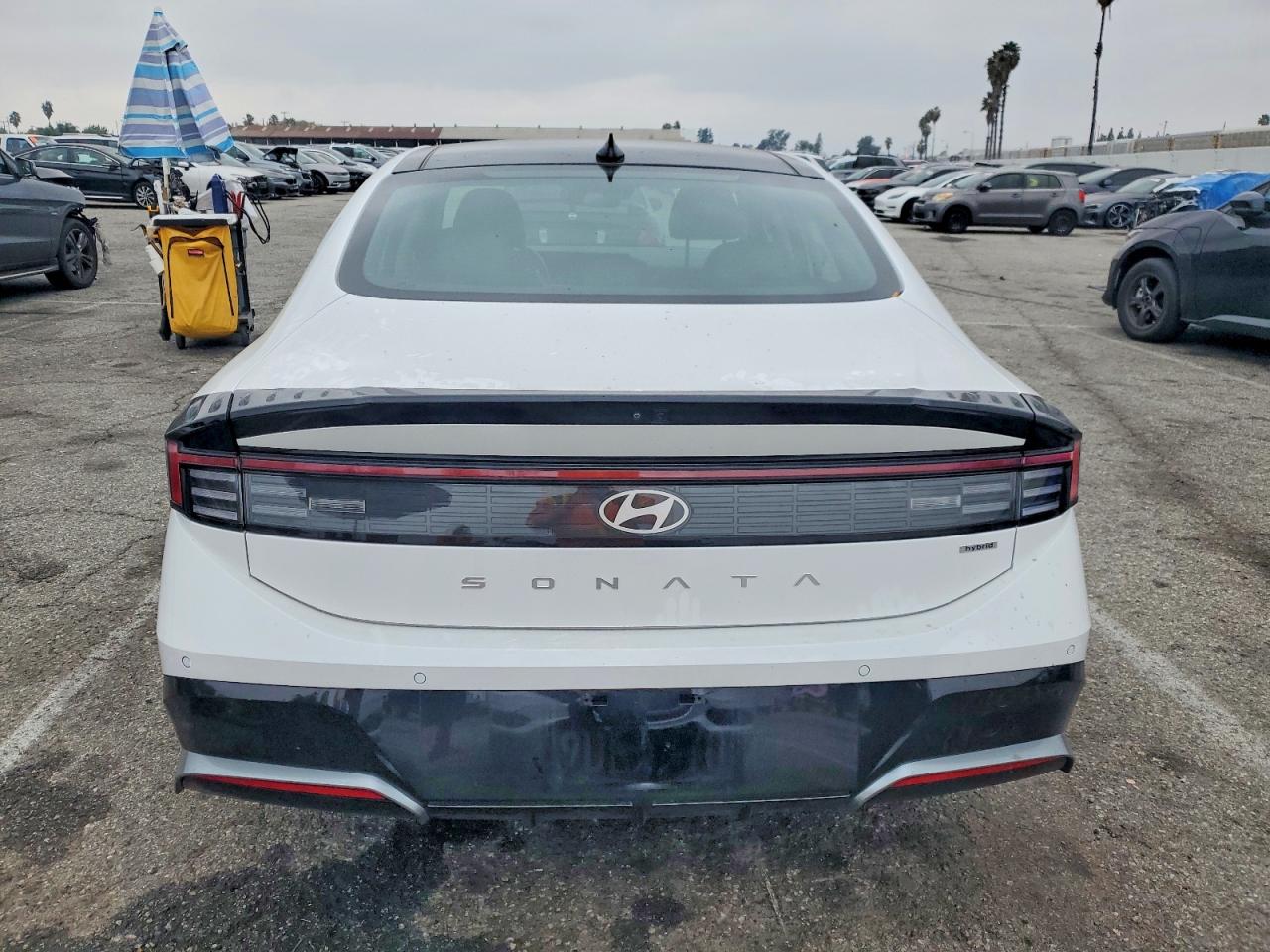 2025 HYUNDAI SONATA HYBRID photo 6