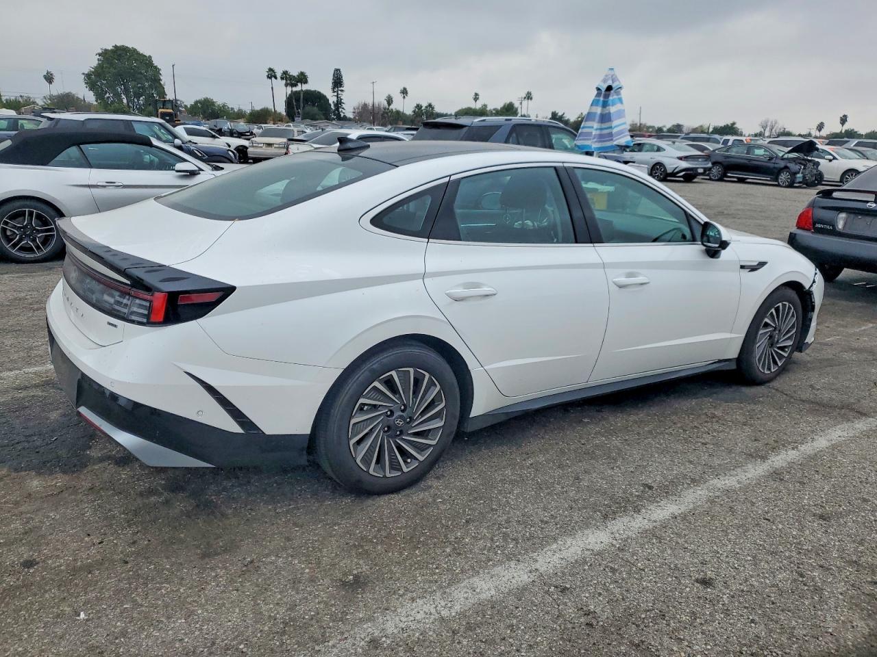 2025 HYUNDAI SONATA HYBRID photo 3