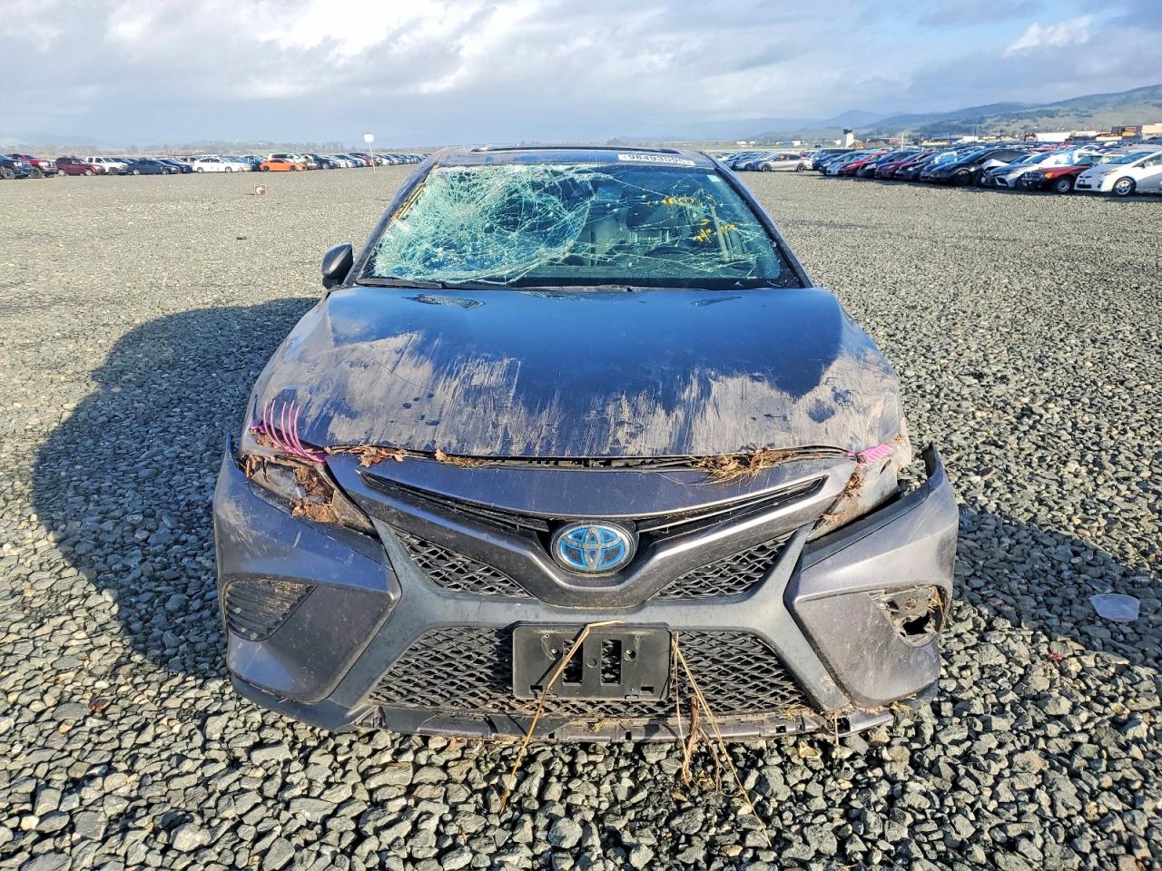 2019 TOYOTA CAMRY HYBRID photo 5