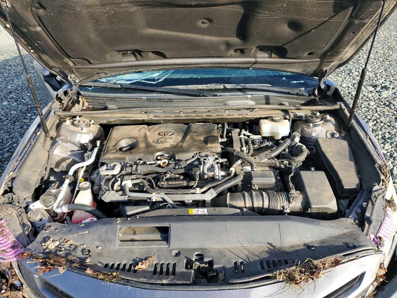2019 TOYOTA CAMRY HYBRID photo 11