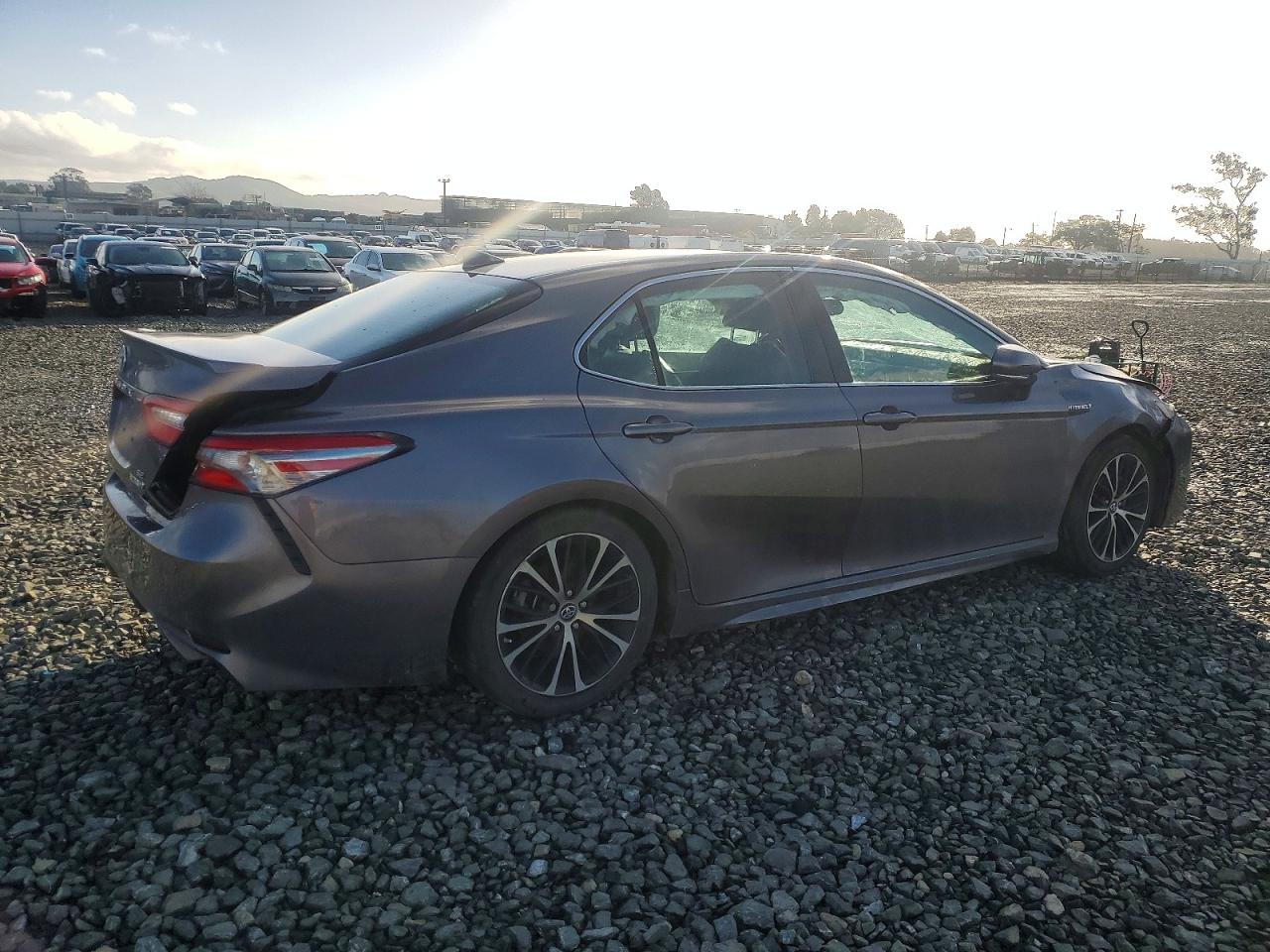 2019 TOYOTA CAMRY HYBRID photo 3