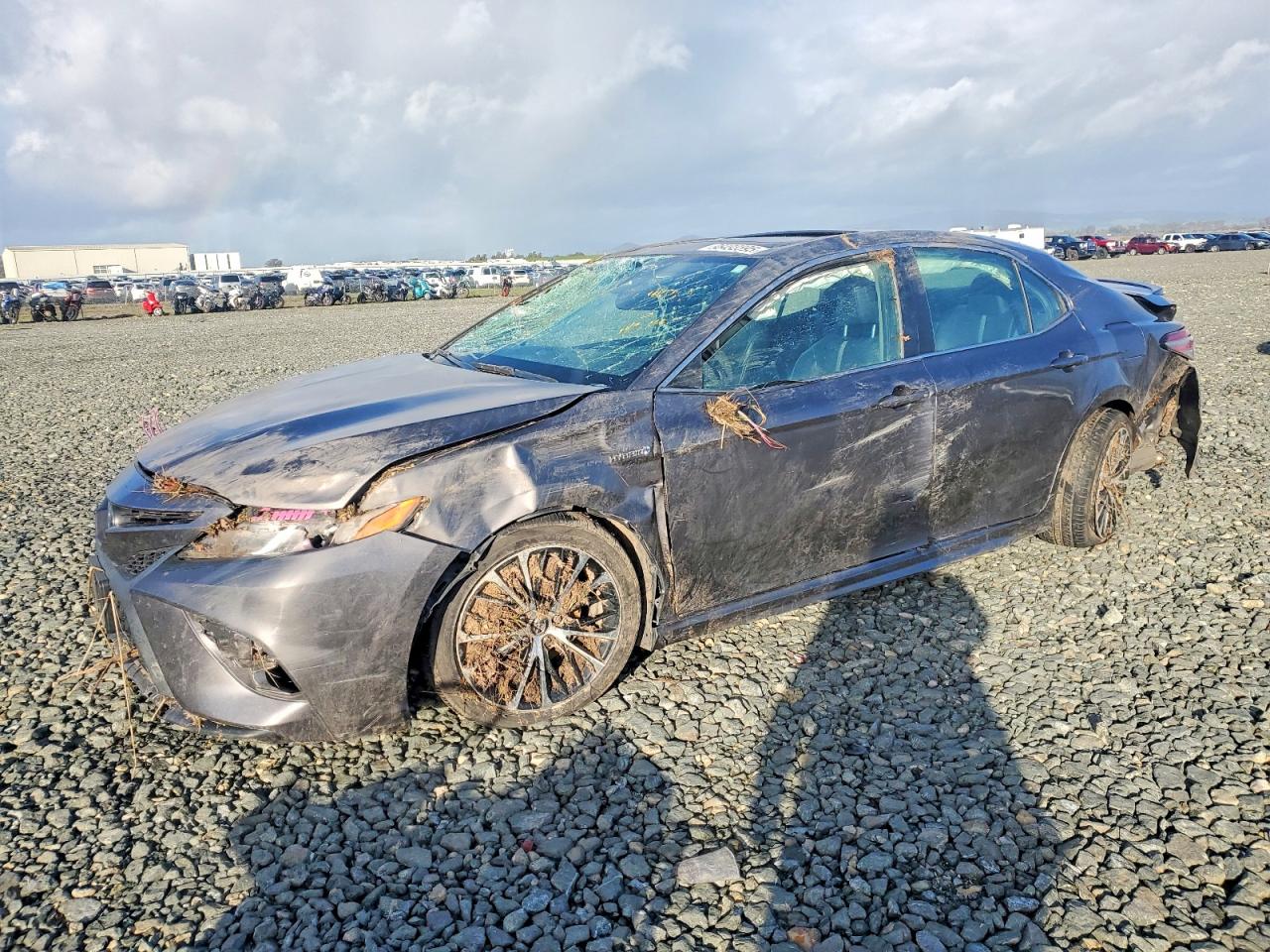 2019 TOYOTA CAMRY
