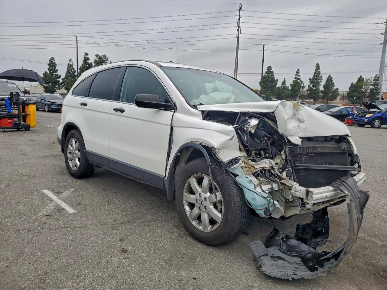 2009 HONDA CR-V EX photo 4