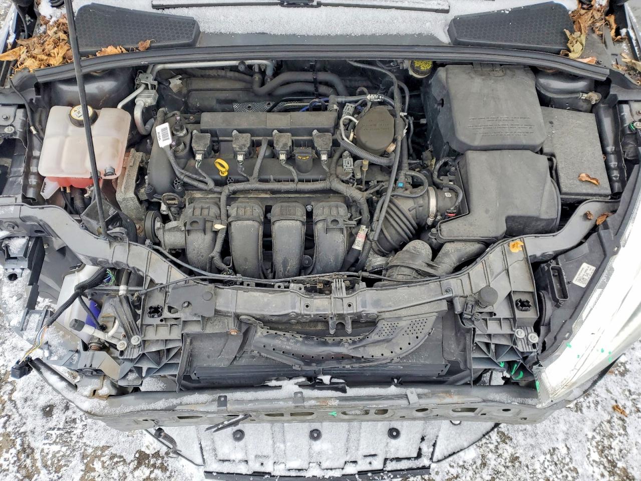 2015 FORD FOCUS SE photo 11