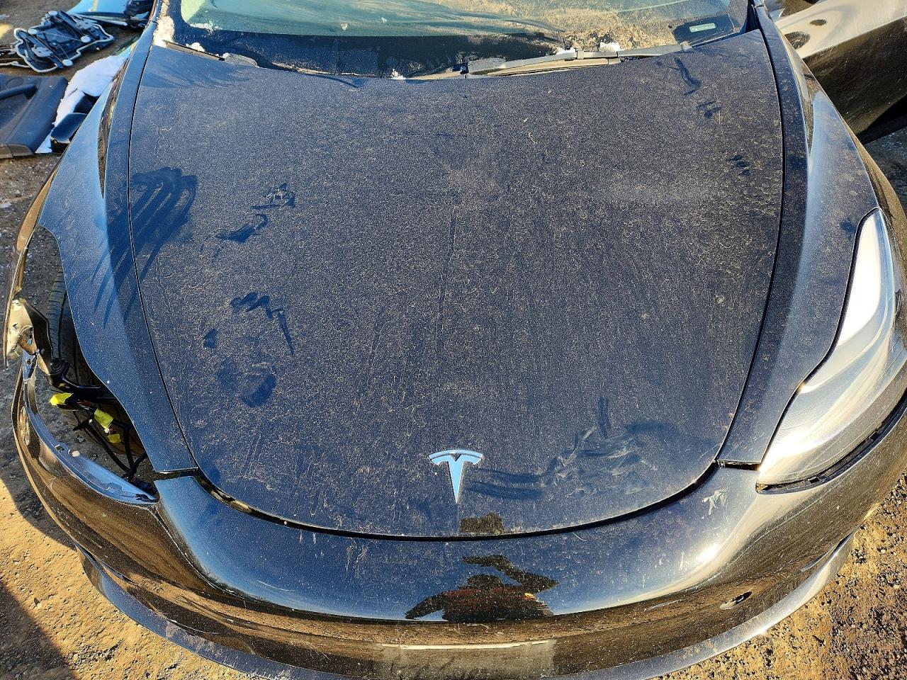 2023 TESLA MODEL 3 photo 11