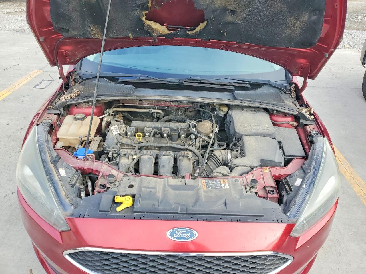 2015 FORD FOCUS SE photo 11