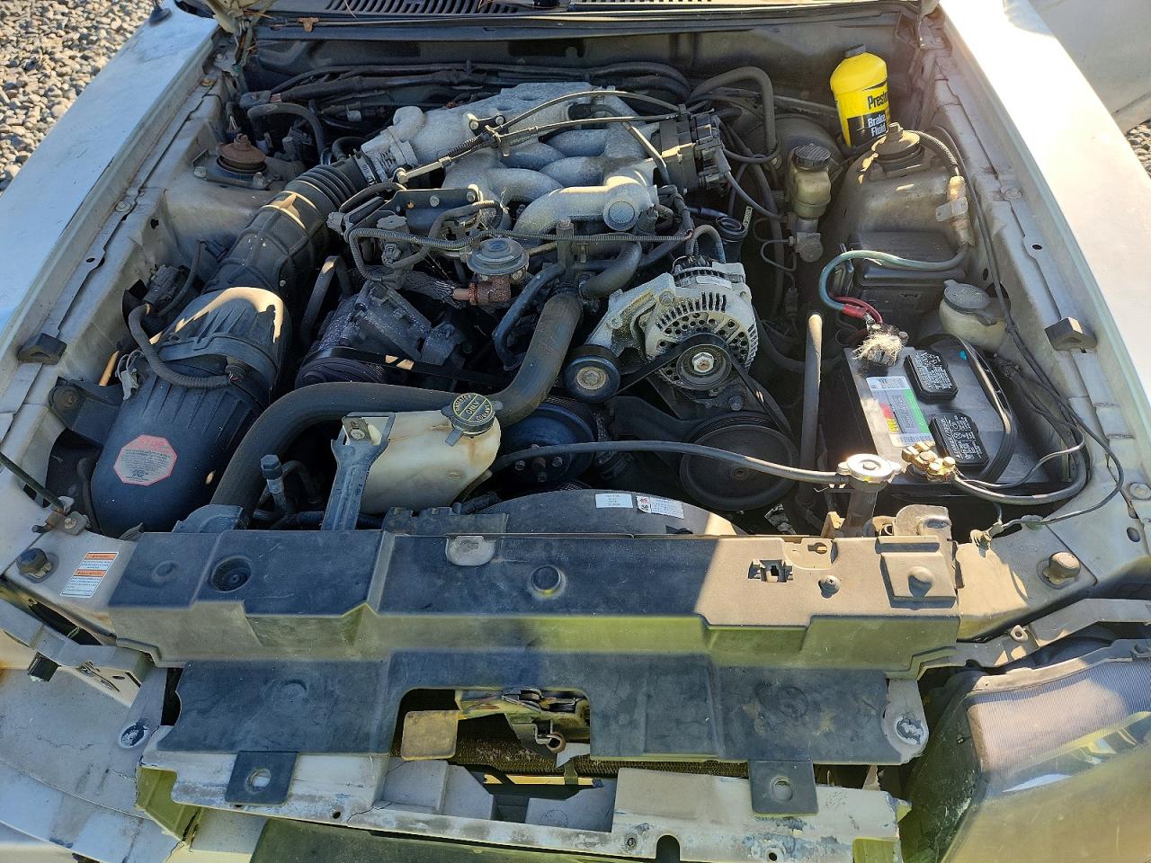 1999 FORD MUSTANG photo 11
