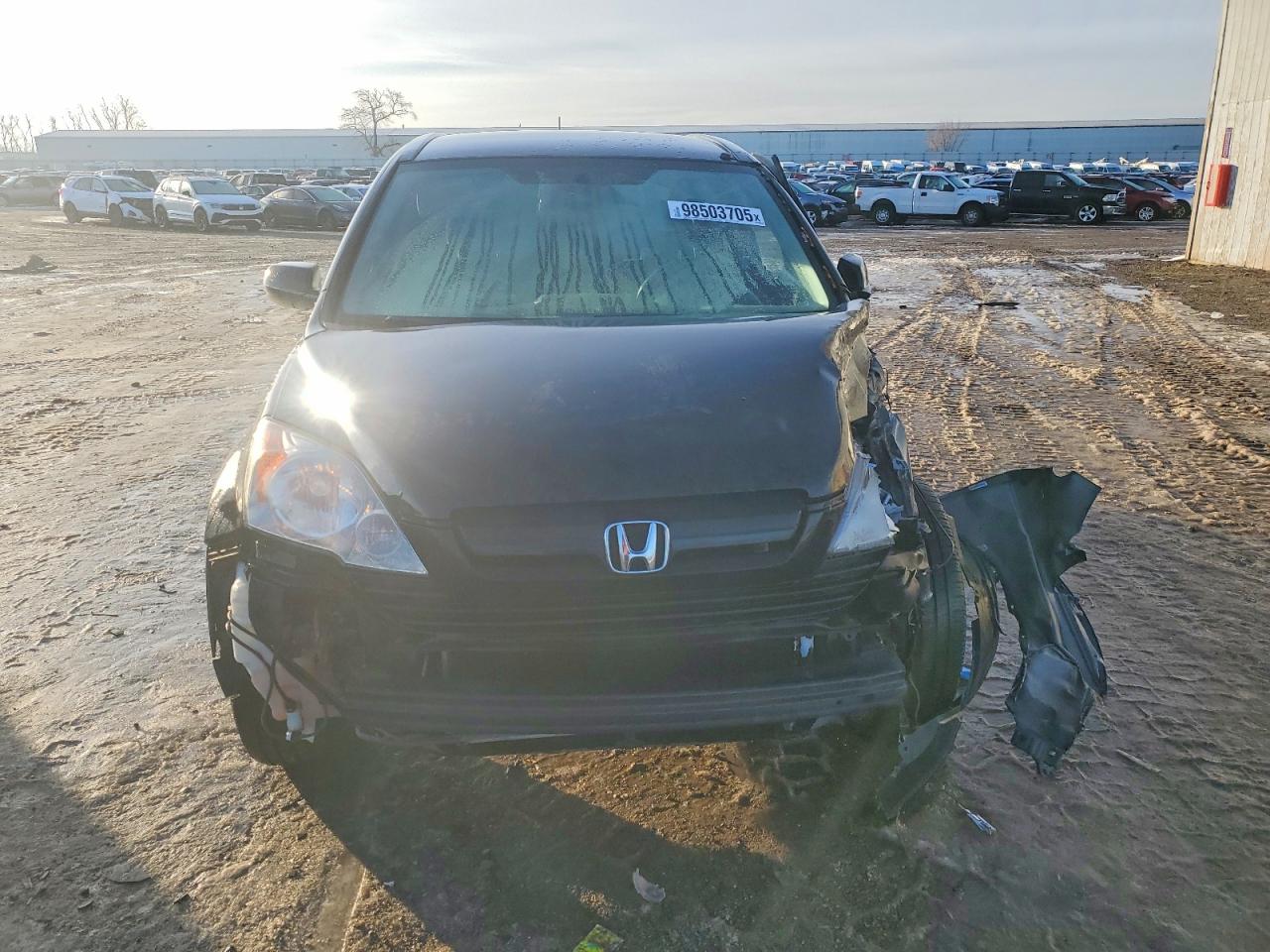 2008 HONDA CR-V LX photo 5
