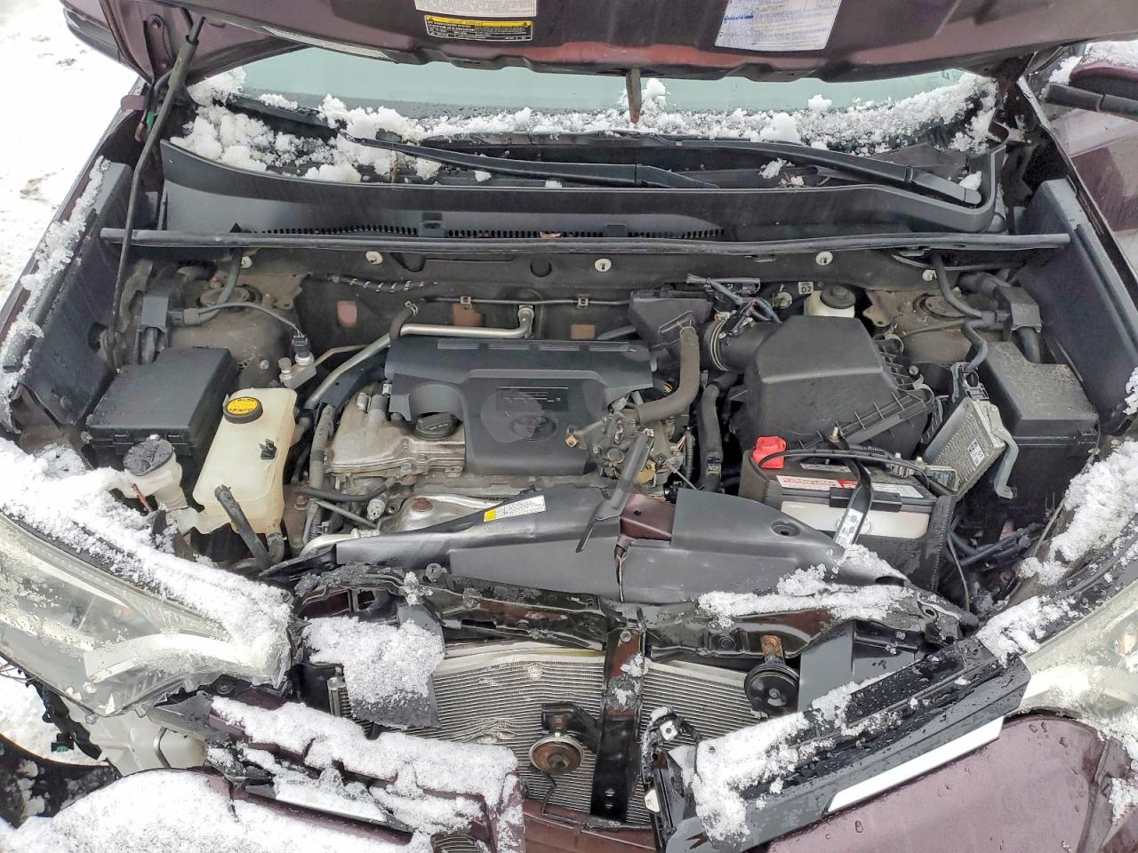 2017 TOYOTA RAV4 XLE photo 12