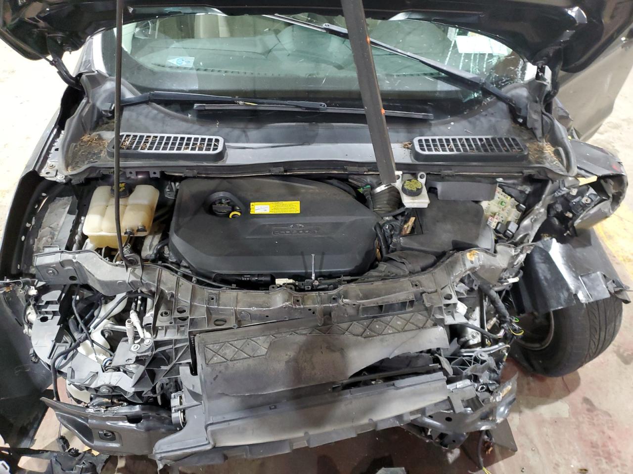 2015 FORD ESCAPE SE photo 12