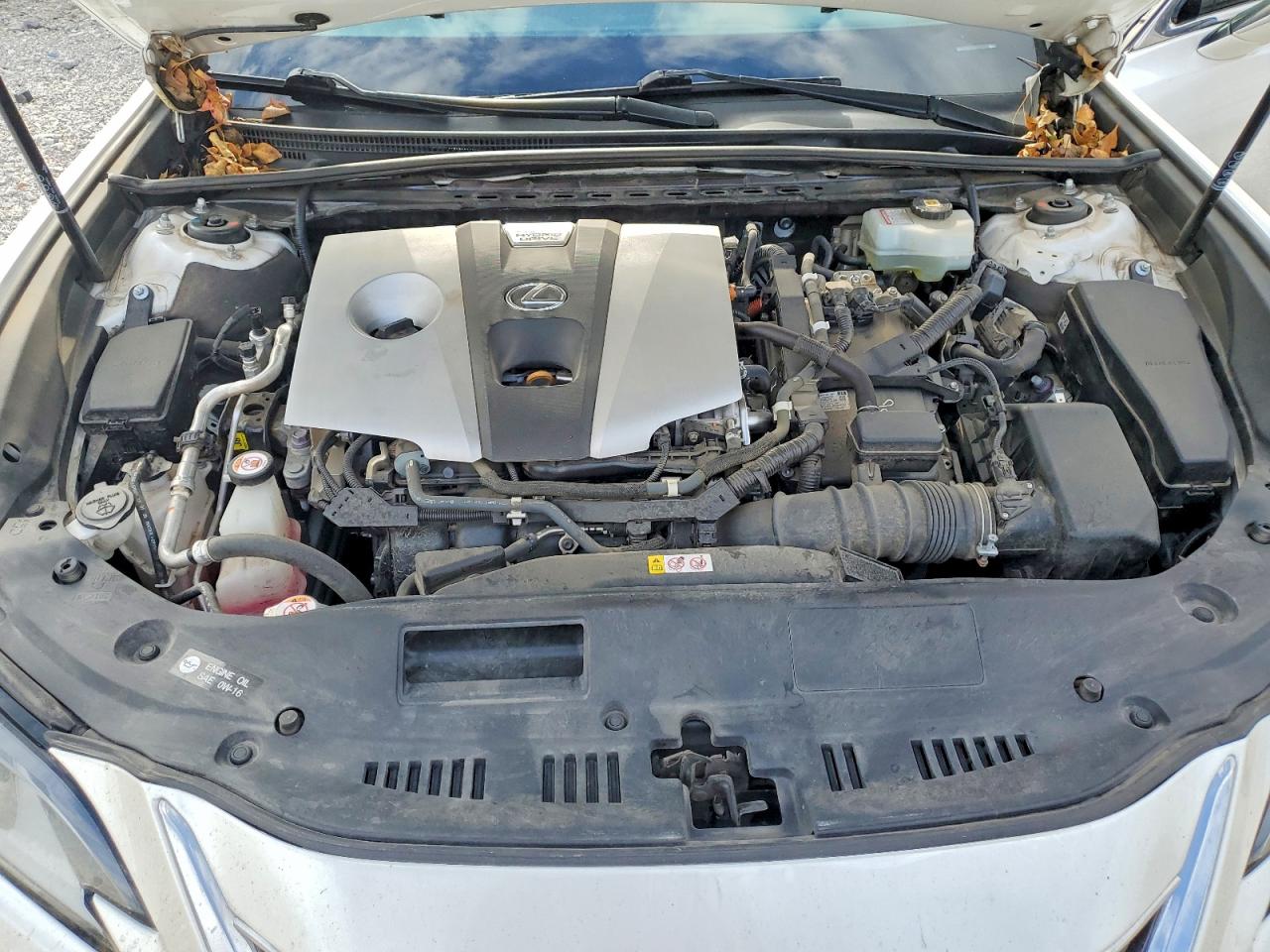 2020 LEXUS ES 300H photo 11