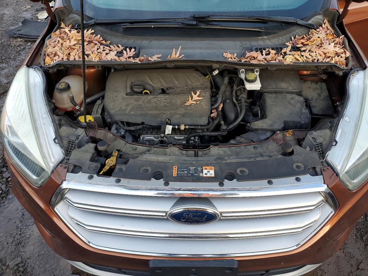 2017 FORD ESCAPE TITANIUM photo 12